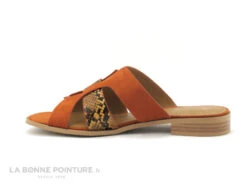 The Divine Factory QL4335 Terra Cotta - Orange - Python - Mule -Chaussures Promotion Magasin cd24607c73b9e66c561f35ea11d5d5ef img 0319.jpg 160416