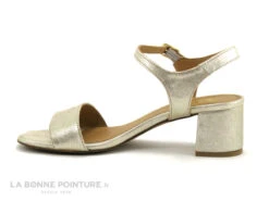 We Do 44021FB Platine - Sandale Femme Talon Carre -Chaussures Promotion Magasin cd24607c73b9e66c561f35ea11d5d5ef img 8325.jpg 181785